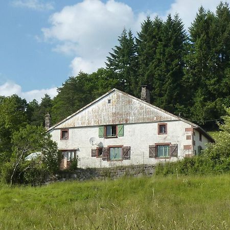 Charming Holiday Home Near The Ski Slopes Vagney Exterior photo
