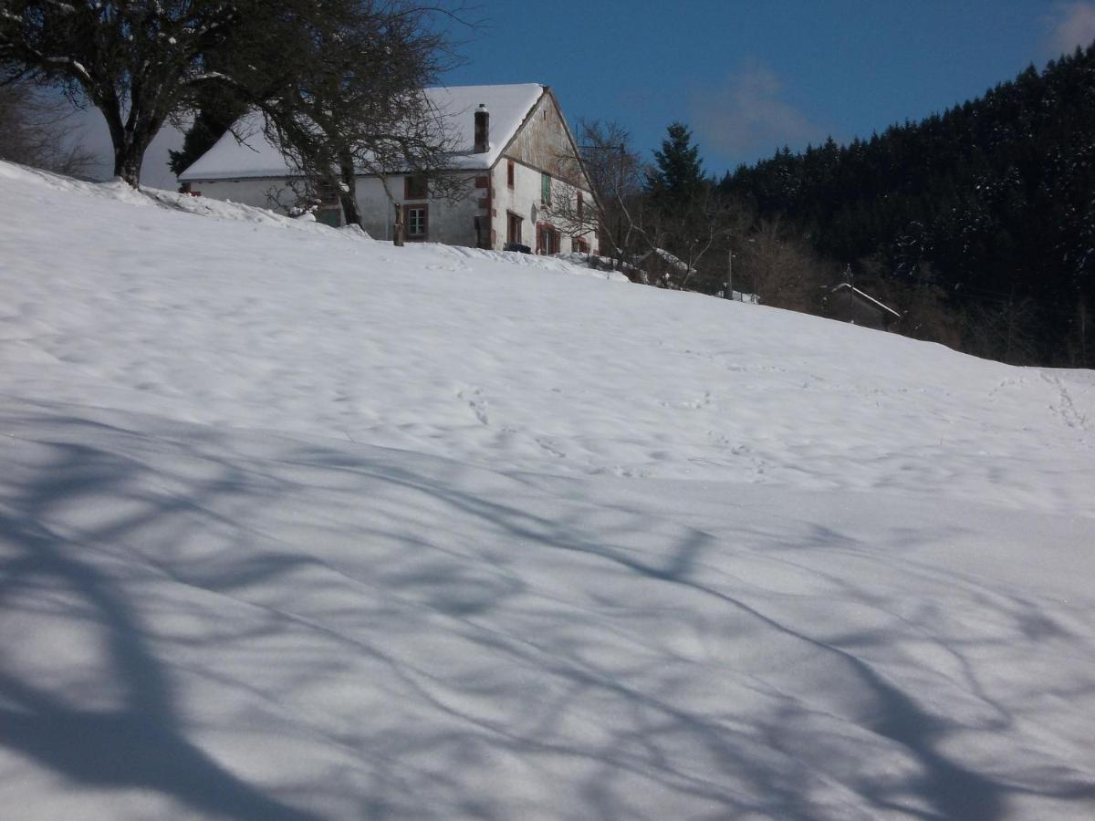 Charming Holiday Home Near The Ski Slopes Vagney Exterior photo