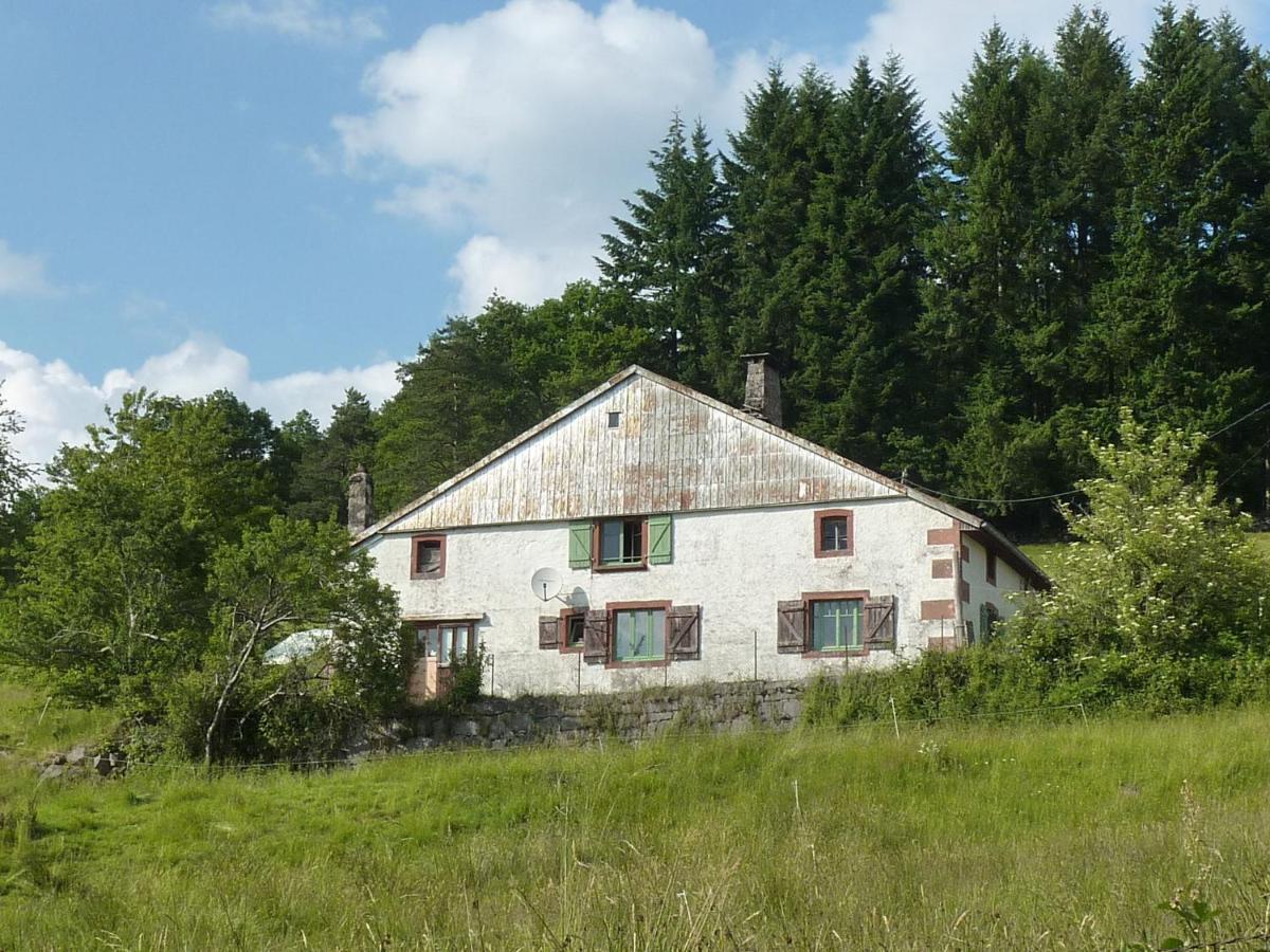 Charming Holiday Home Near The Ski Slopes Vagney Exterior photo
